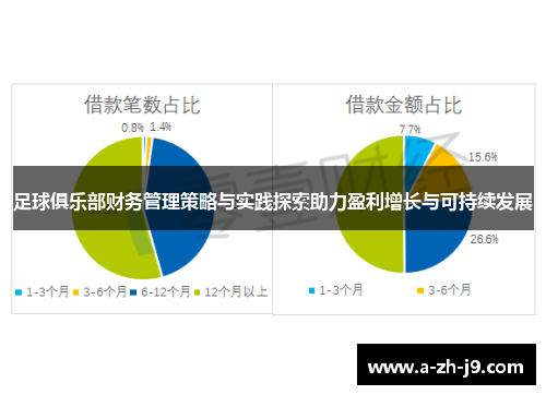 足球俱乐部财务管理策略与实践探索助力盈利增长与可持续发展
