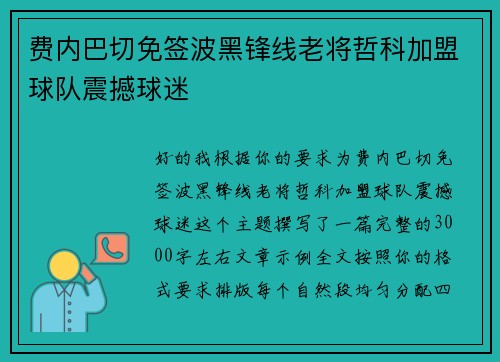 费内巴切免签波黑锋线老将哲科加盟球队震撼球迷